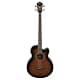 Ibanez semi acoustic
