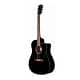 Fender semi acoustic
