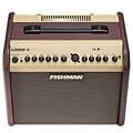 Fishman Loudbox