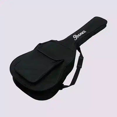 Ibanez padded bags