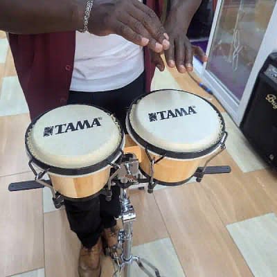 Bongo Drums