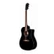 Fender semi acoustic